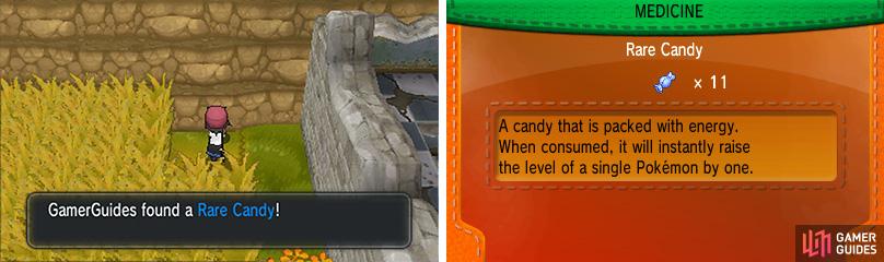 You have to wade through overgrown grass for this Rare Candy, but it’s worth the trouble!