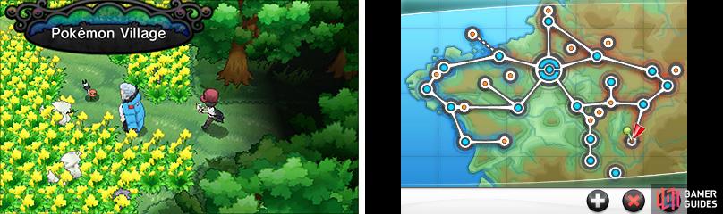 There’s a LOT of cool wild Pokémon to find and capture in the Pokémon Village.