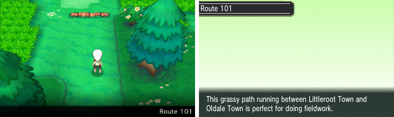 A brief route with some Pokemon that you can’t catch yet.