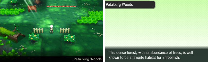 The obligatory earlygame forest, inhabited by Pokémon and trainers alike.