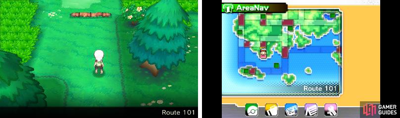 If it’s your first time in Hoenn, keep your map handy.