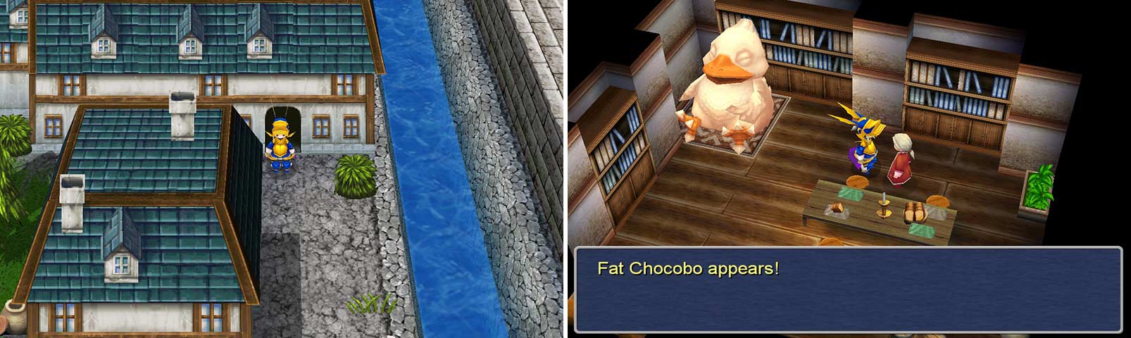 This is the Fat Chocobo.