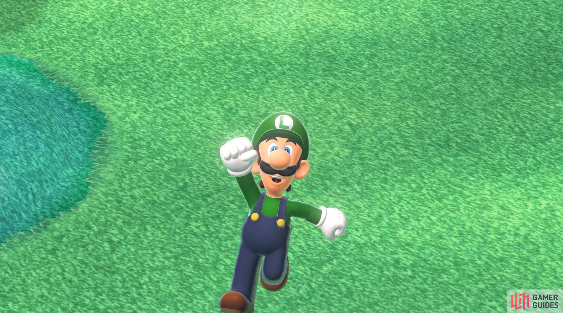 Luigi