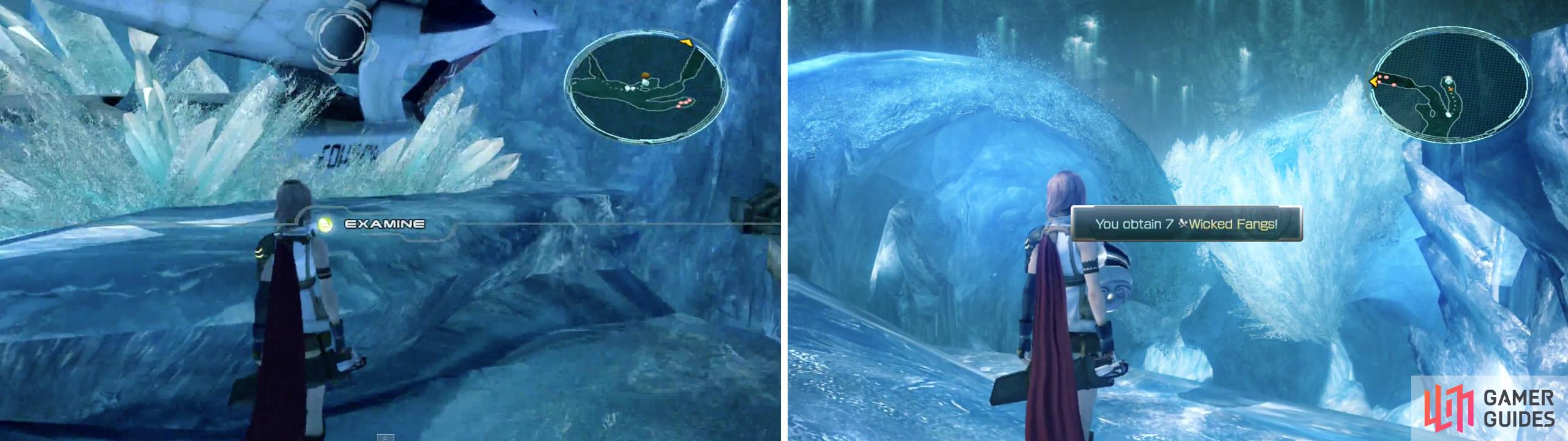 Use the Cannon to destroy the Ice Wall. (left) Collect the 7x Wicked Fangs. (right)