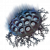 "Perception Wisp" icon