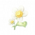 "Daisy" icon