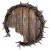 "Orian Preacher Shield" icon