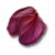 "Ginatia petals" icon