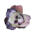"Mutated Fern Flower" icon