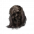 "Grave Keeper's Brainpan" icon