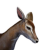 "Fawn" icon