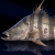 "Striped Barramundi" icon