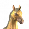 ui_t_unicornoffspring_albino-4057e1c1.png