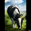 neu_cow-98373e25.png