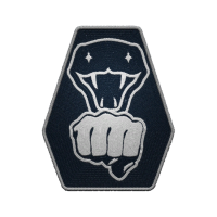 Icon for <span>Martial Arts - Rank 1</span>