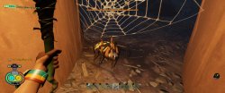 orb_weaver_jnr2.jpg