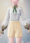 t_showpic_clothes_s0163t-625a19d2.png