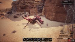 conan_exiles_oasis_of_nekhet_sand_reaper_hive_queen-1bf54f33.jpg