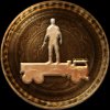 Trophy/Achievement Icon