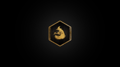 Trophy/Achievement Icon